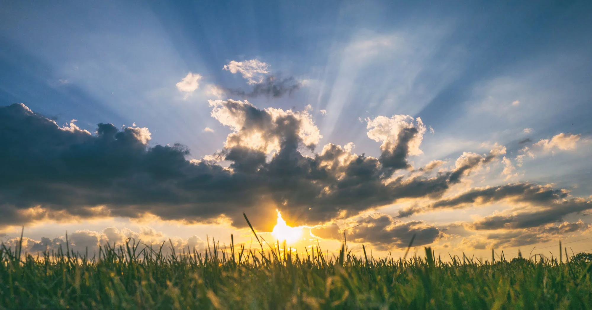 Vitamin D Deficiency and Its Link to Memory Loss – March 18, 2021 ...